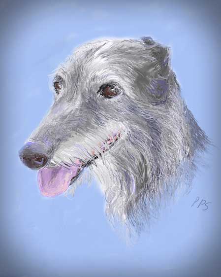 Pat-Scott-Portrait-Pet-Photographer-Digital-Artisit